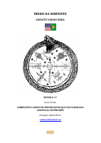 Curso Vodu Módulo 17 (1).pdf